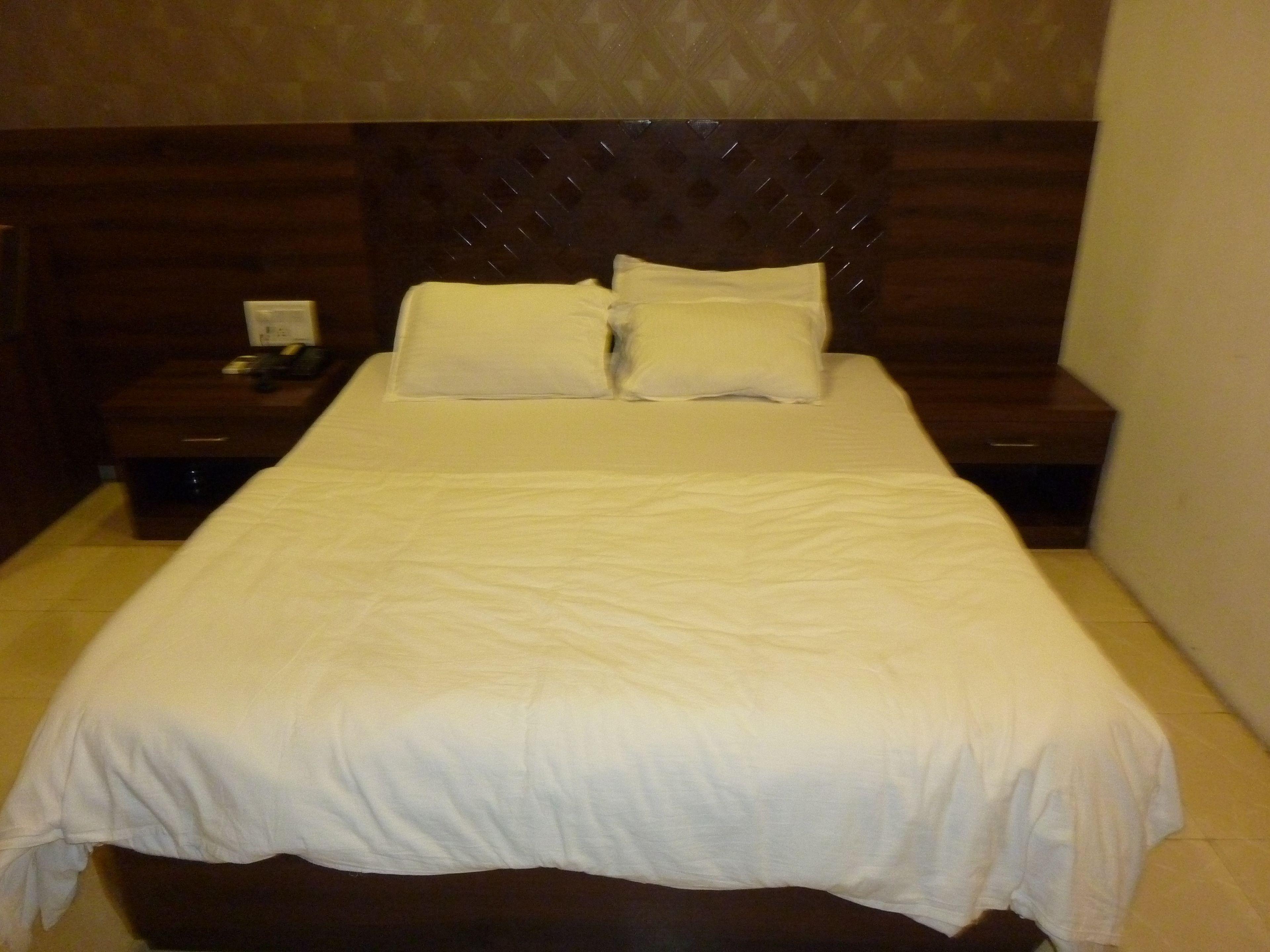 Hotel Regal Palace — Photos 2